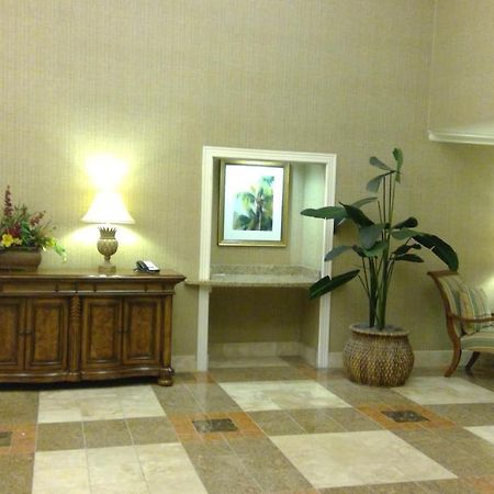 Royal Palms Apartment Briarcliffe Acres Exteriér fotografie